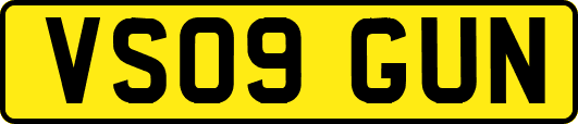 VS09GUN