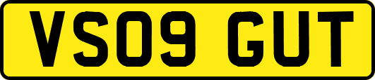 VS09GUT