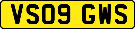 VS09GWS