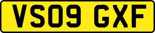 VS09GXF