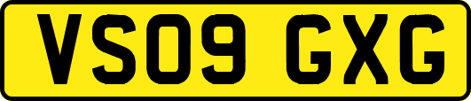 VS09GXG