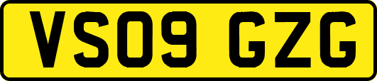 VS09GZG