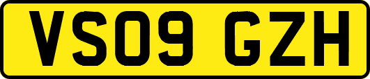 VS09GZH