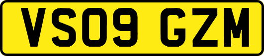 VS09GZM