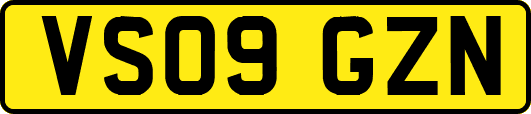VS09GZN