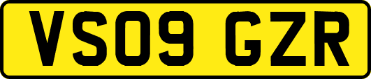 VS09GZR