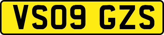 VS09GZS