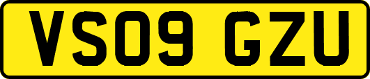 VS09GZU
