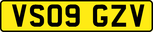 VS09GZV