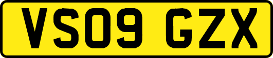 VS09GZX