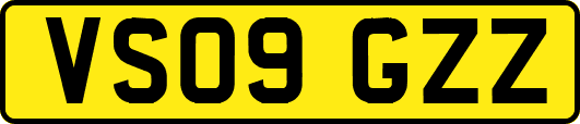 VS09GZZ