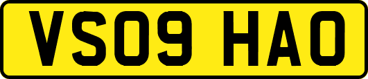 VS09HAO
