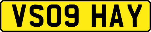 VS09HAY