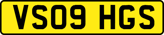 VS09HGS