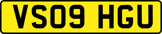 VS09HGU