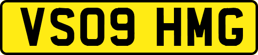VS09HMG