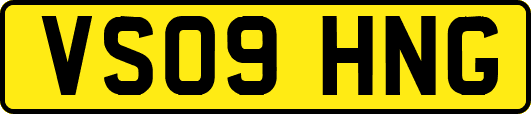 VS09HNG