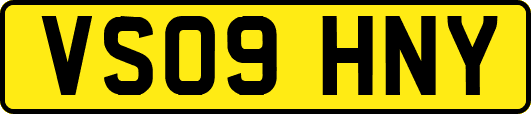 VS09HNY