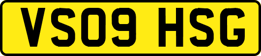 VS09HSG