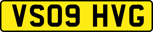 VS09HVG