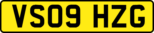 VS09HZG