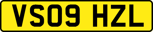 VS09HZL