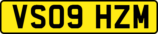 VS09HZM