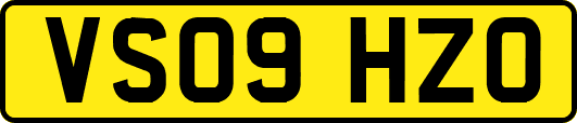 VS09HZO