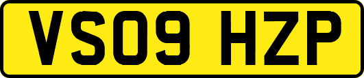 VS09HZP