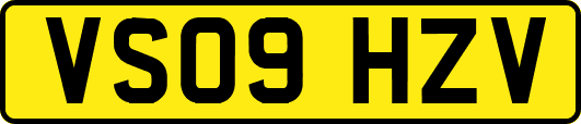 VS09HZV