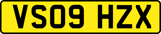 VS09HZX