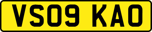 VS09KAO