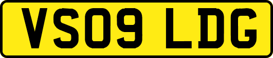 VS09LDG