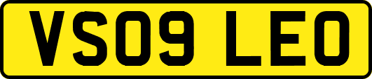 VS09LEO