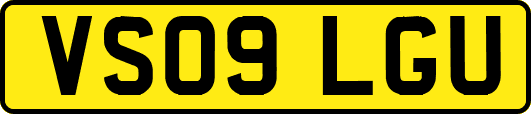 VS09LGU