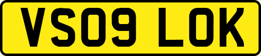 VS09LOK
