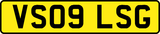 VS09LSG