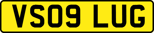VS09LUG
