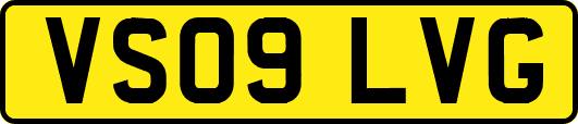 VS09LVG