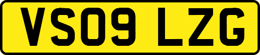 VS09LZG