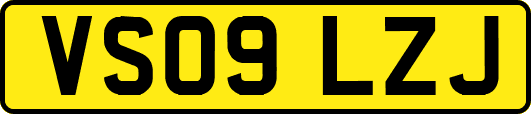 VS09LZJ