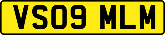 VS09MLM