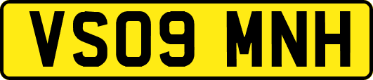 VS09MNH