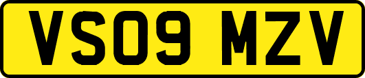 VS09MZV