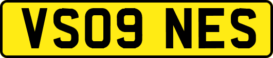 VS09NES