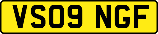 VS09NGF