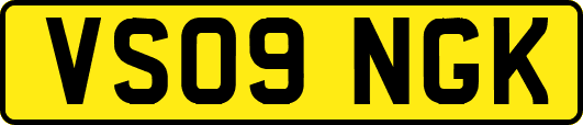 VS09NGK
