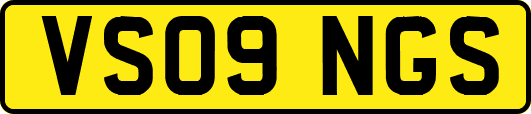 VS09NGS
