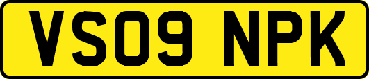 VS09NPK