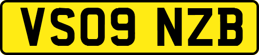 VS09NZB